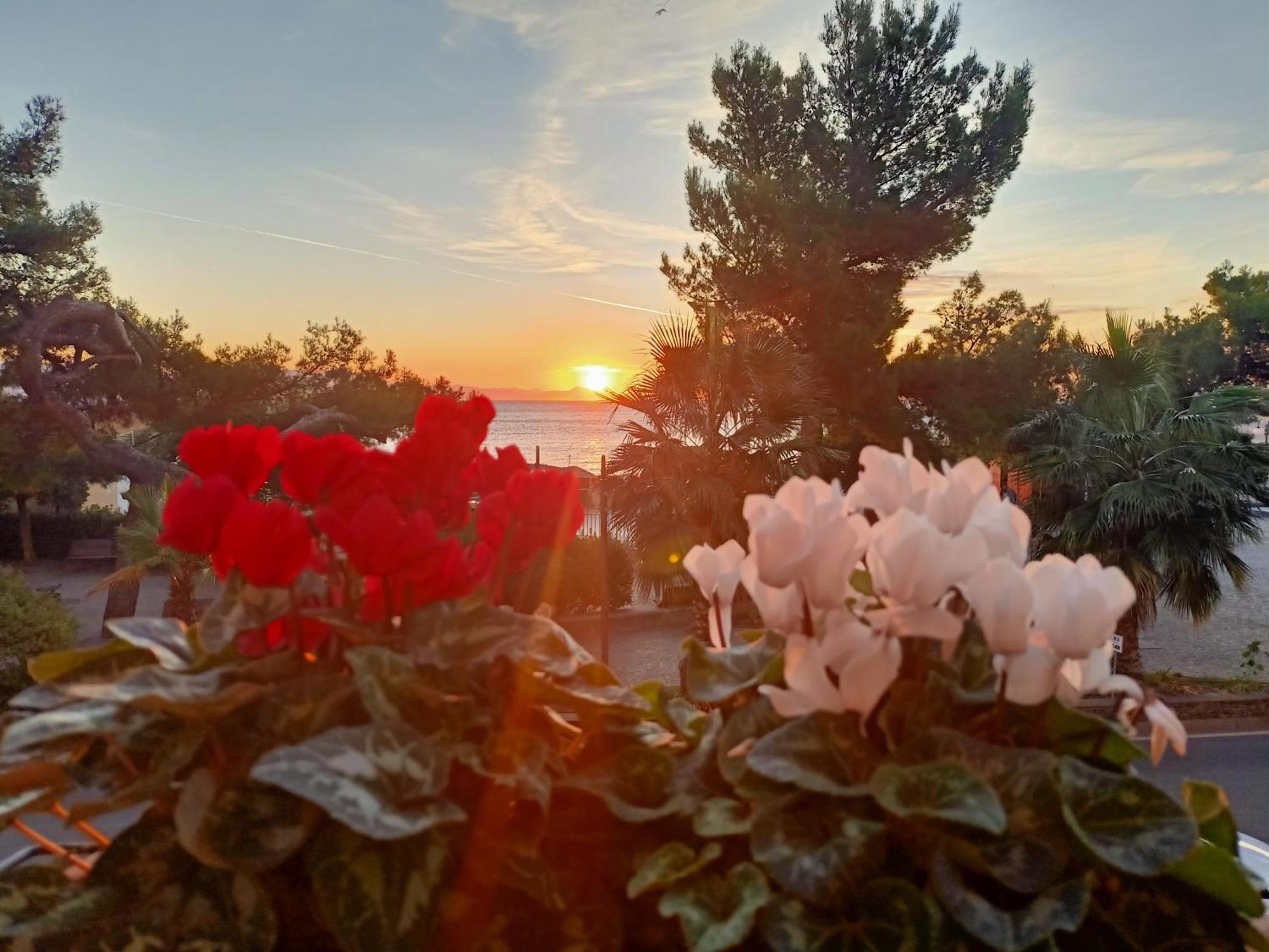 Hotel Serena Arenzano Dış mekan fotoğraf
