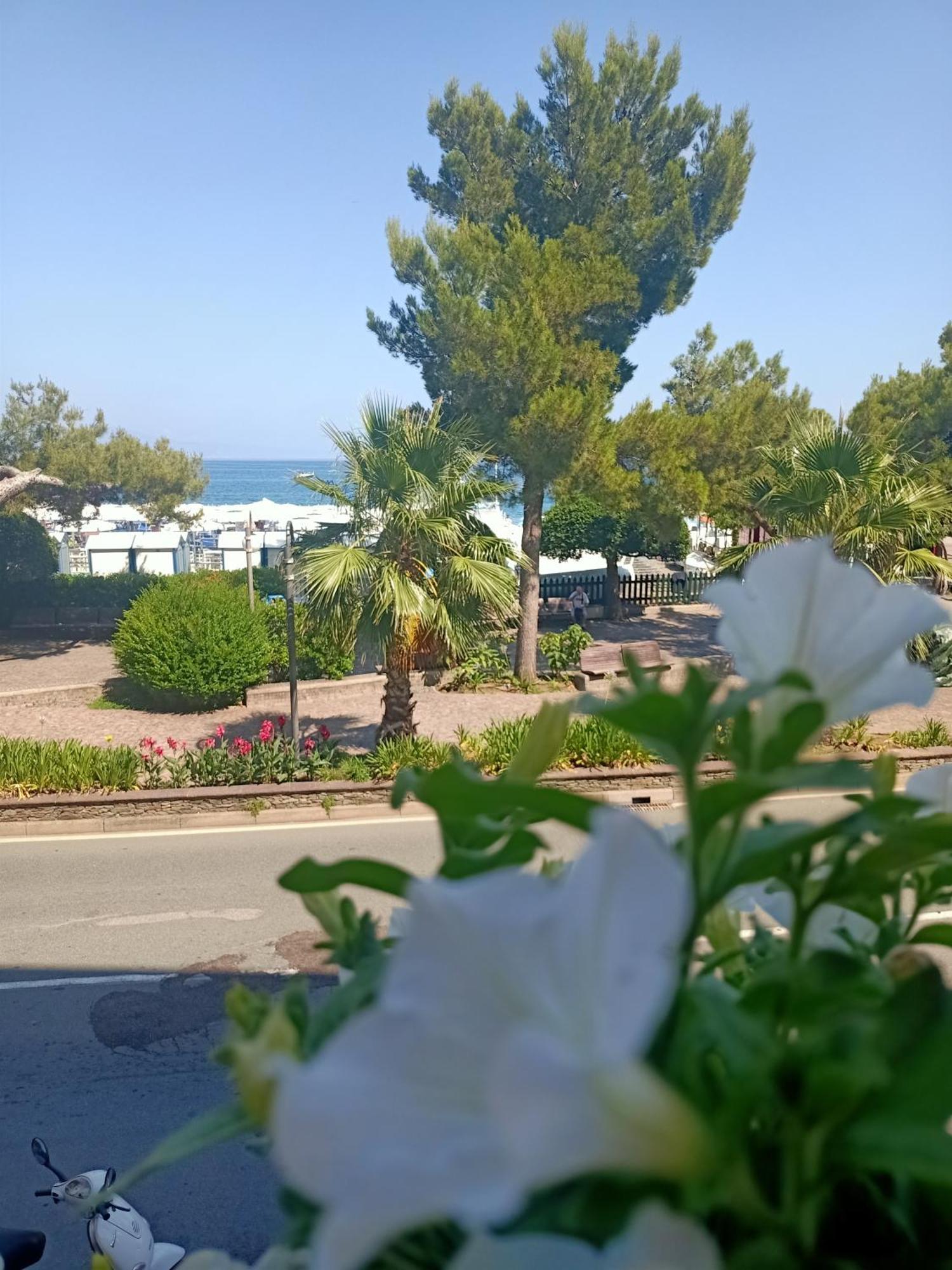 Hotel Serena Arenzano Dış mekan fotoğraf